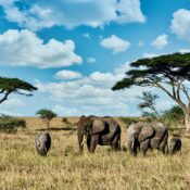 Travel the world, make memories to last a lifetime  Watch the video inspiring a movement to get out and go see the world. This is the story of 4 friends who traveled to 6 continents in only 21 days.  Authentic experiences. Inspirational travel. Sightseeing Everywhere.