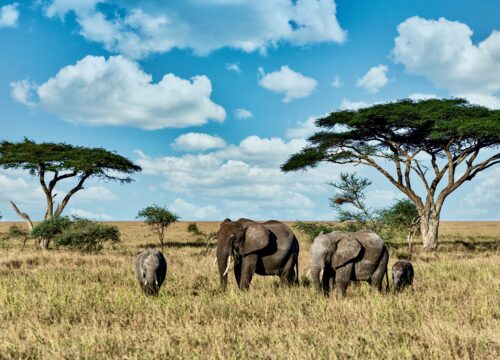 Travel the world, make memories to last a lifetime Watch the video inspiring a movement to get out and go see the world. This is the story of 4 friends who traveled to 6 continents in only 21 days. Authentic experiences. Inspirational travel. Sightseeing Everywhere.