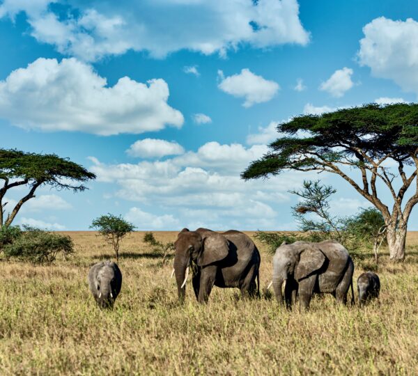 Travel the world, make memories to last a lifetime Watch the video inspiring a movement to get out and go see the world. This is the story of 4 friends who traveled to 6 continents in only 21 days. Authentic experiences. Inspirational travel. Sightseeing Everywhere.