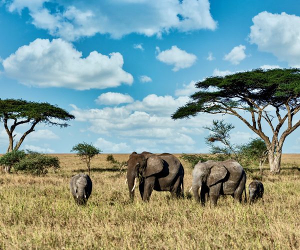 Travel the world, make memories to last a lifetime Watch the video inspiring a movement to get out and go see the world. This is the story of 4 friends who traveled to 6 continents in only 21 days. Authentic experiences. Inspirational travel. Sightseeing Everywhere.